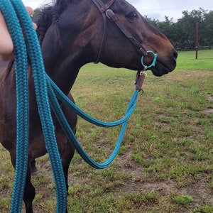 May include: A dark brown horse wearing a leather bridle and a teal rope halter. The horse is standing in a grassy field on a cloudy day. The teal rope is held by a person.