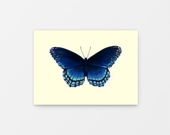 Red-Spotted Purple Butterfly Limenitis Arthemis Gouache Art Mini Print 5&quot; x 7&quot;, Vintage style print, Bug print, Entomology Painting