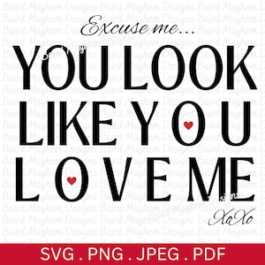 Excuse me You Look Like You Love Me svg, love song svg, Valentine svg, Valentines Day png, Country, Country Concert svg, Gift for her