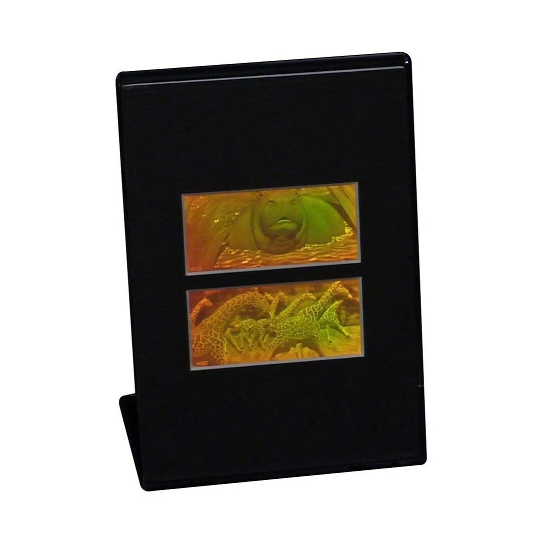 Homogram Desk 3D Giraffe Hippo Hologram (DESK STAND), Photopolymer Film, Hippo Lovers ...