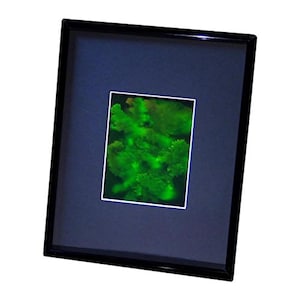 Vintage 1980s & I990s FRAMED 3D CORAL Hologram Picture, Collectible on Silver Halide Type Film, High-Quality 3D CORAL Lovers Holographic Art