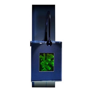 May include: A black framed picture with a green plant inside, illuminated by a black flexible gooseneck lamp attached to the wall.