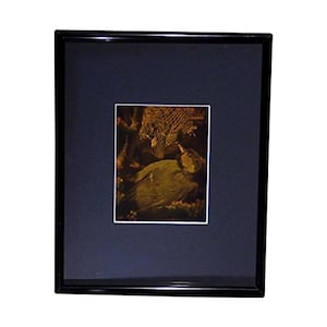 3D BIRD Hologram Picture (FRAMED), Collectible on Silver Halide Type Film, 1980s BIRD Hologram Lovers, High-Quality 3D Bird Holographic Arts