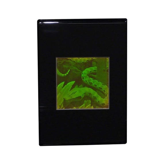3D Snake Hologram Picture (FRAMED), Polaroid Photopolymer Film, 1990s Lover Gifts, Quality Holographic Arts