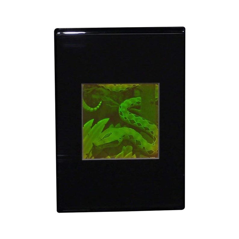 Pu&ograve; includere: Una cornice nera rettangolare con un'immagine quadrata centrata di un serpente verde in un ambiente giungla. Il serpente &egrave; arrotolato e circondato da fogliame verde. La cornice ha una finitura lucida.