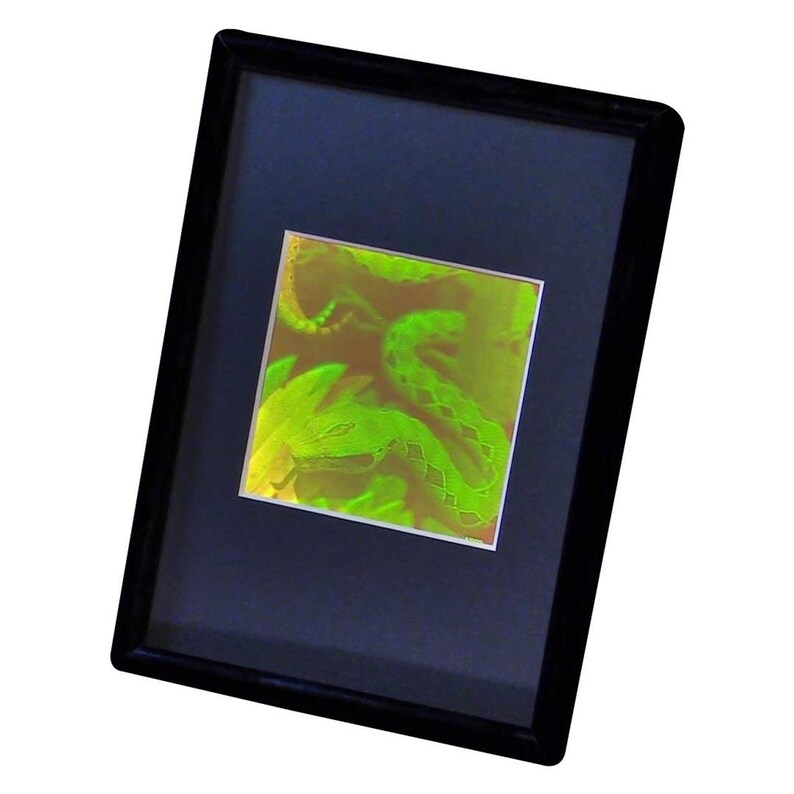 Pu&ograve; includere: Un'opera d'arte incorniciata con un vibrante serpente verde neon. Le squame e la forma del serpente sono dettagliate su uno sfondo blu scuro. L'opera d'arte &egrave; racchiusa in una cornice nera, creando un contrasto sorprendente.
