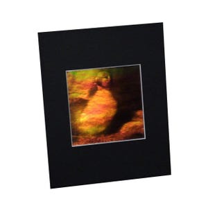 3D Duckling Hologram Picture (MATTED), Collectible EMBOSSED Type Film, 3D Duckling Hologram Lover Gifts, High-Quality 1990s Holographic Arts