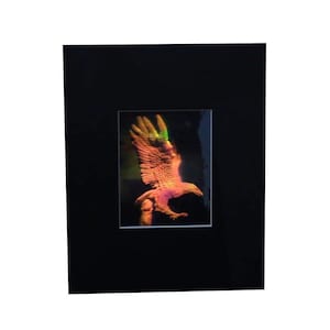 3D EAGLE Hologram Picture (MATTED), Collectible EMBOSSED Type Film, 3D Eagle Lover Gifts, High-Quality 1980s and 1990s Eagle Holographic Art