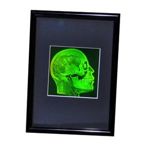 Vintage 1980 & I990 FRAMED Brain/Skull 3D Hologram, True Photopoloymer Realistic 2-Channel, Vintage Lover Gift, High-Quality Holographic Art