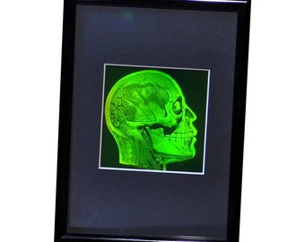 Vintage 1980 & I990 FRAMED Brain/Skull 3D Hologram, True Photopoloymer Realistic 2-Channel, Vintage Lover Gift, High-Quality Holographic Art