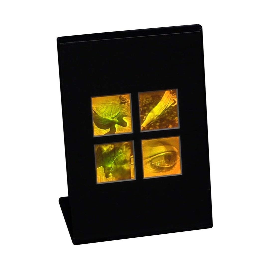 Homogram Desk 3D Nature Hologram (DESK STAND), Collectible Polaroid Photopolymer Film ...