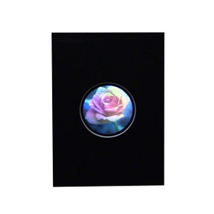 May include: A single pink and white rose with a blue background is framed in a black circle on a black background.