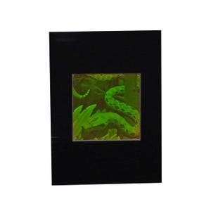 3D Snake Hologram Picture (MATTED), Collectible Polaroid Photopolymer Film, 3D SNAKE Lover Gifts, Vintage 1980s High-Quality Holographic Art