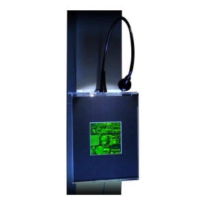 May include: A black framed display case with a green Polaroid instant film photo inside. A black flexible gooseneck lamp with a black bulb is mounted above the display case.