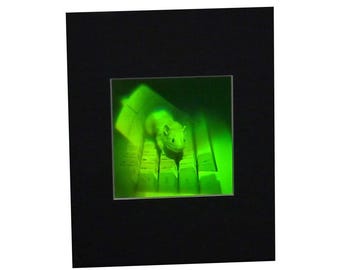 May include: A framed image of a small, white mouse sitting on a green computer keyboard.