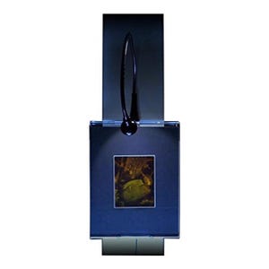 3D Bird Hologram Picture (LIGHTED WALL DISPLAY), Collectible on Silver Halide Type Film, Bird Lovers Gifts, High-Quality 3D Holographic Arts