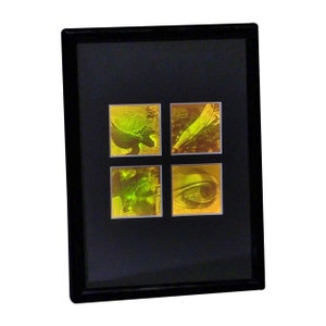 FRAMED 3D Nature 4-up 2-Channel Hologram Picture, Collectible Polaroid Photopolymer Film, 3D Nature 1980, High-Quality Space Holographic Art