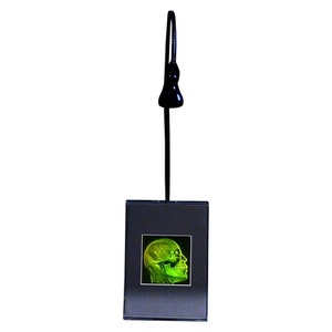 3D Brain/Skull Hologram Picture LIGHTED DESK STAND, True Photopoloymer Realistic 2-Channel, Skull Lover Gift, High-Quality Holographic Art