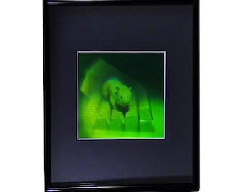 May include: A framed image of a small, white rodent sitting on a green computer keyboard. The rodent is looking directly at the viewer.