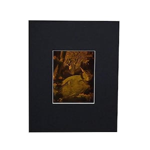 3D BIRD Hologram Picture (MATTED), Collectible on Silver Halide Type Film, 3D BIRD Hologram Lover Gift, High-Quality 3D Bird Holographic Art