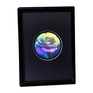 May include: A black framed picture with a round, iridescent, holographic image of a rose in the center.