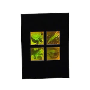 3D Nature 4-up 2-Channel Hologram Picture (MATTED), Collectible Polaroid Photopolymer Film, Nature Lover Gifts, High-Quality Holographic Art