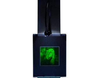 May include: A black and green glow-in-the-dark keychain featuring a creature from the black lagoon design.