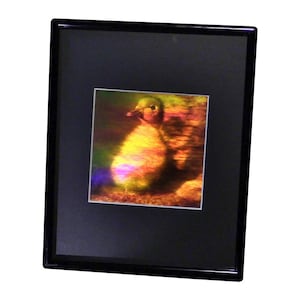 3D Duckling Hologram Picture (FRAMED), Collectible Embossed Type Film, Duckling Hologram Lover Gifts, High-Quality Vintage Holographic Arts