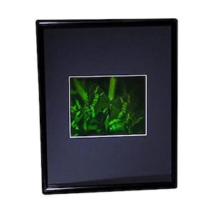 3D Butterfly Hologram Picture (FRAMED), Collectible on Silver Halide Type Film, 1990s Butterfly Hologram Lover, High-Quality Holographic Art