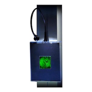 Puede incluir: Una imagen enmarcada en negro con una imagen verde y negra en su interior. La imagen está iluminada por una lámpara flexible de cuello de cisne negra con una bombilla negra.