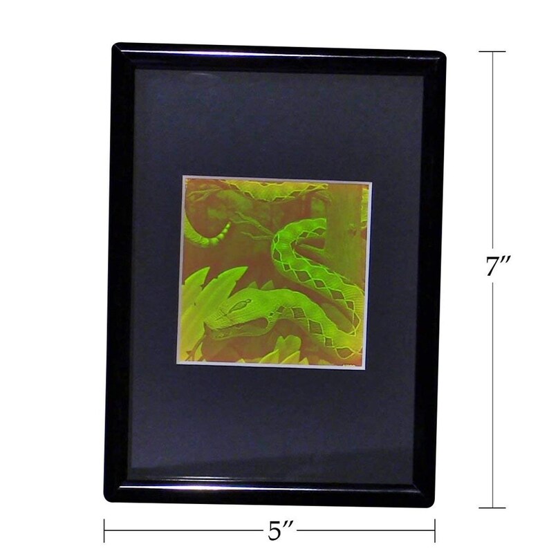 Pu&ograve; includere: Un'opera d'arte incorniciata con una vivace illustrazione di un serpente verde. La cornice nera misura 12,7 cm di larghezza e 17,8 cm di altezza. L'opera ha un passe-partout blu scuro, che esalta i colori vivaci del serpente.