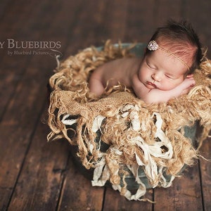 Backdrop LARGE Size Options, Wood Backdrop, Vinyl Photography Floordrop, Photography Vinyl Wood Floor drop, Photo backdrop, "Cousin of Joe"