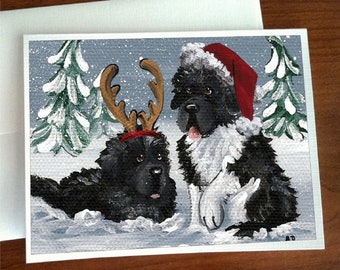 NEWFOUNDLAND DOG AND PUPPY CHARMING GREETINGS NOTE CARD
