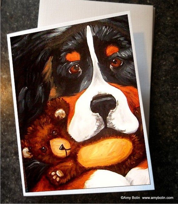bernese mountain dog teddy