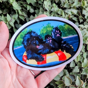 Dog Days water resistant vinyl sticker Black Newfoundland dog