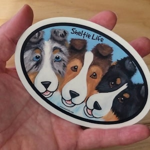 Sheltie Life vinyl sticker / auto decal weather resistant Blue Merle, Sable, Tri Color Shetland Sheepdogs