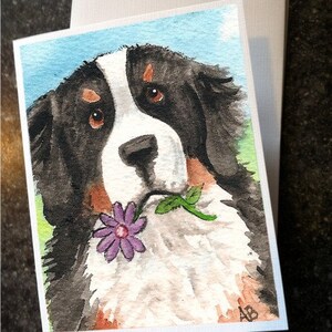 Bernese Mountain Dog "I Saw This Flower" NOTE CARDS by Amy Bolin with option to add greeting