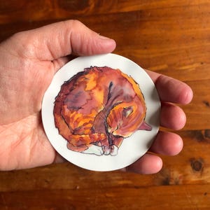 May include: A watercolour painting of an orange and white cat curled up asleep on a white background.