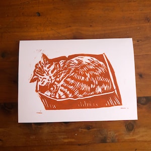 Orange Cat in a Box Card Gift Cat Lover Get well Feel Better Card Just Because Thinking of You Card Birthday Greeting Card