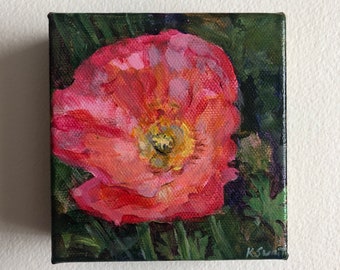 4" Square Original Painting of Pink Poppy, flower lover, bold, bright, colorful, handmade