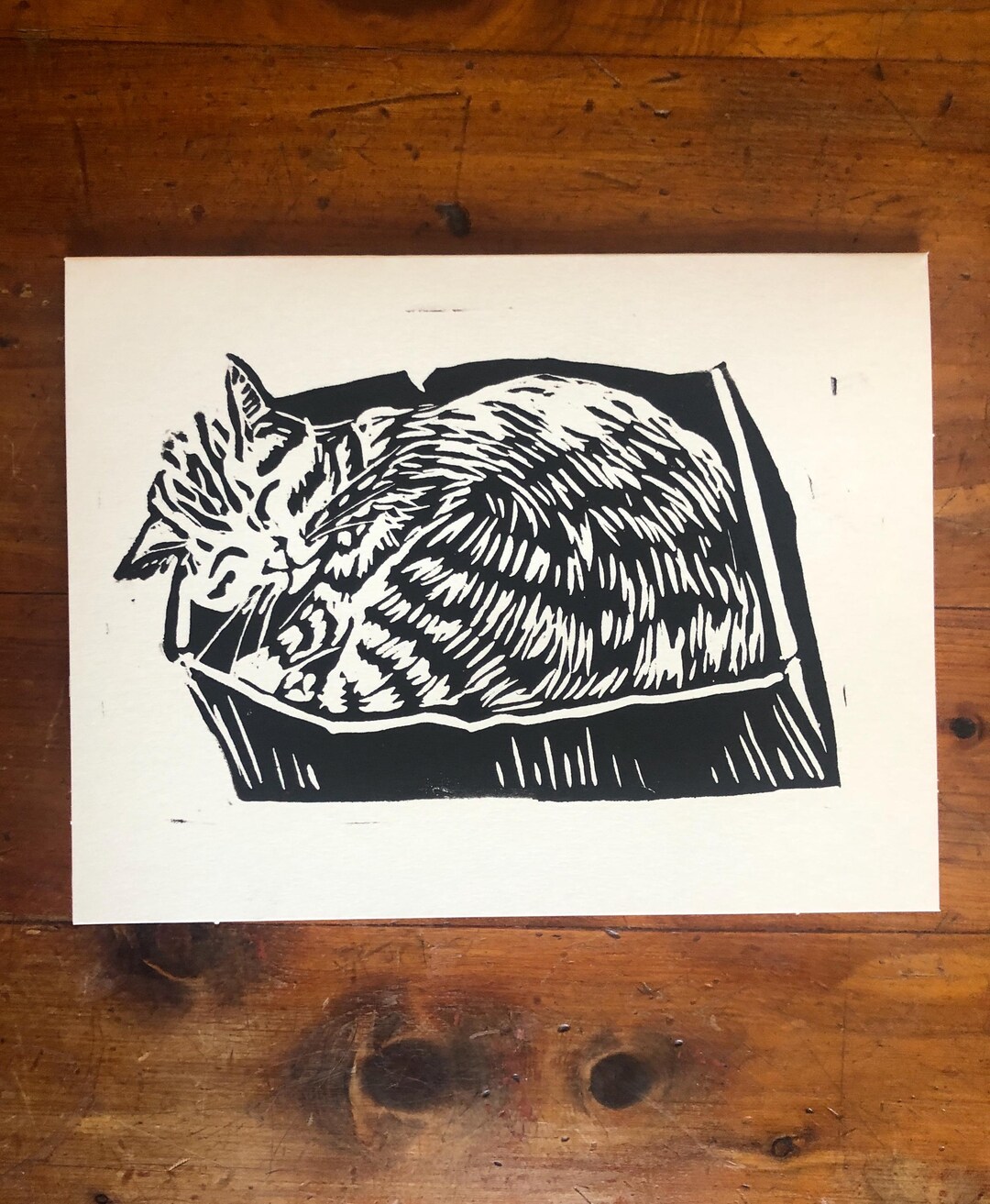 Gray Tabby Cat in a Box Card Gift Back and White Cat Lover Get Well ...