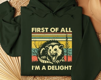 First Of All I'm A Delight Sarcastic Angry Opossum Lover Hoodie, Cute Sarcastic Hoodie, Sarcastic Self Love, Sarcasm Hoodie, Birthday Gift,