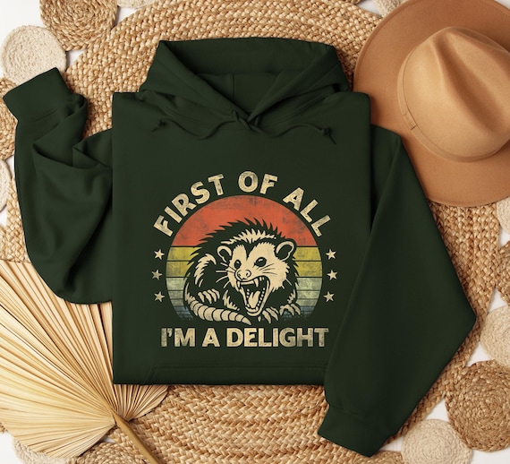 First Of All I'm A Delight Sarcastic Angry Opossum Lover Hoodie, Cute Sarcastic Hoodie, Sarcastic Self Love, Sarcasm Hoodie, Birthday Gift