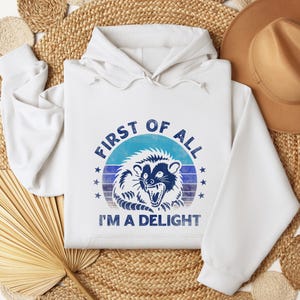 May include: White hooded sweatshirt with a graphic of a raccoon and the text "FIRST OF ALL I'M A DELIGHT" in blue. The raccoon graphic is inside a blue circle with blue stripes and stars.