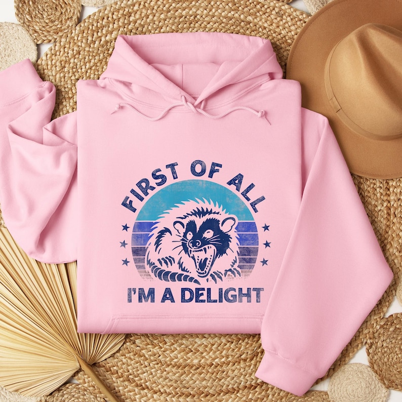 May include: A light pink hoodie with a graphic of a raccoon and the text "FIRST OF ALL I'M A DELIGHT" in blue. The raccoon is inside a blue circle with blue stars.