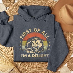 May include: A dark gray hoodie with a drawstring hood. The front features a graphic of an opossum with the text "FIRST OF ALL I'M A DELIGHT" in a retro style. The opossum is set against a sunset-colored background.