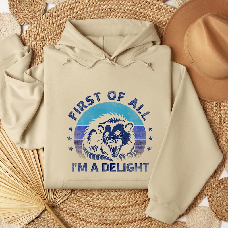 May include: Beige hoodie with a raccoon graphic and the text "FIRST OF ALL I'M A DELIGHT". The raccoon is blue and white, set against a blue and white striped background. The hoodie has a drawstring hood and a kangaroo pocket.