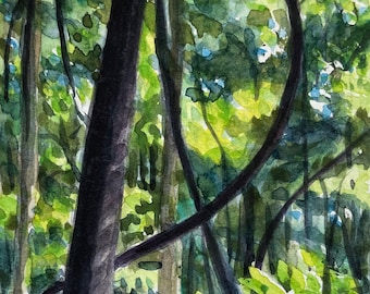 Original Watercolor Painting of trees and vines at Radnor Lake in Nashville TN, custom matted