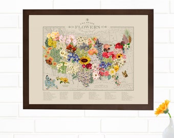 Vintage US State Flower /& Botanical Map Poster