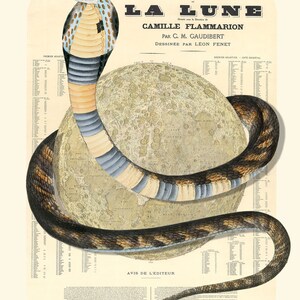 May include: A vintage illustration of the moon with a snake wrapped around it. The moon is depicted as a sphere with craters and a detailed map of the lunar surface. The snake is a cobra with a patterned body of black, yellow, and blue. The image is titled "Carte Générale La Lune" and includes the names "Camille Flammarion" and "Léon Fenet".